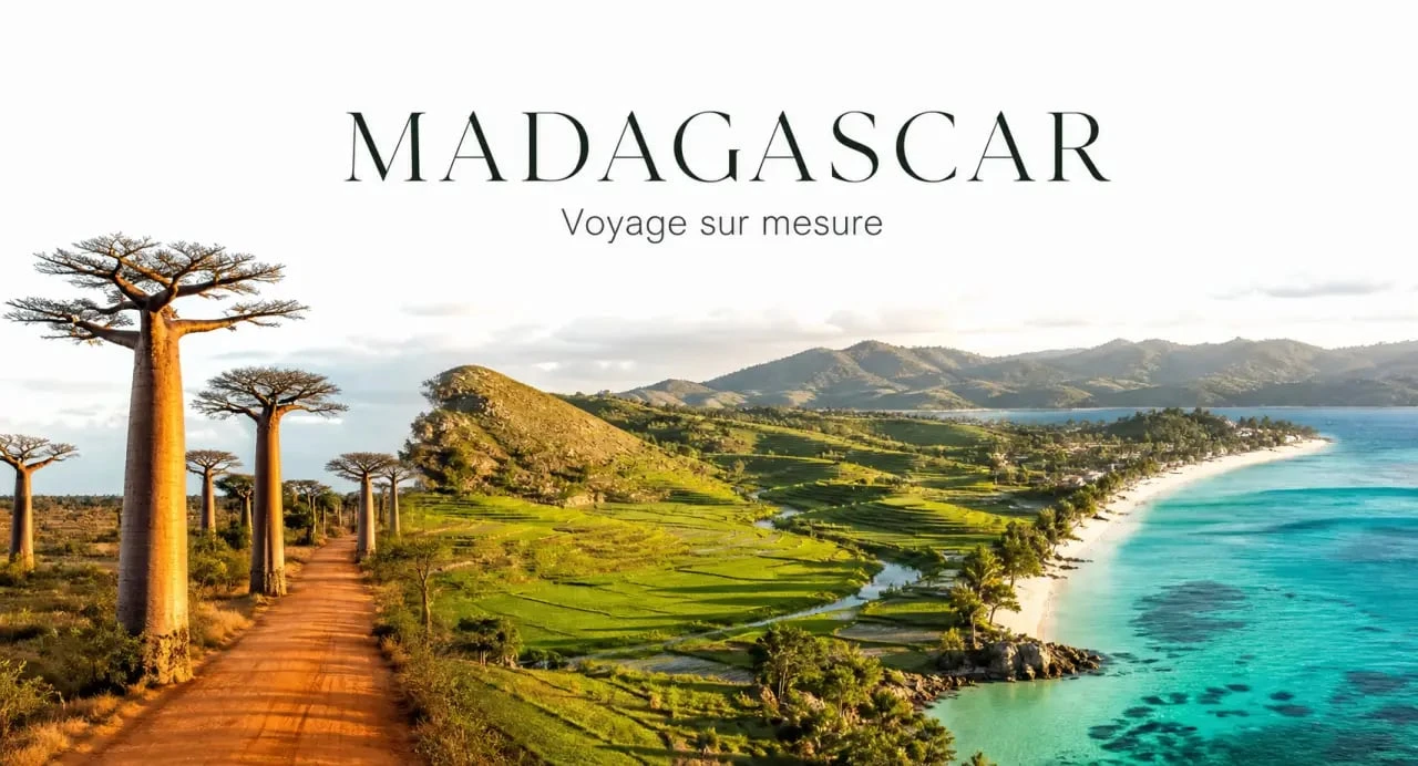 Voyage sur mesure madagascar : panorama éditorial des baobabs, rizières et lagons