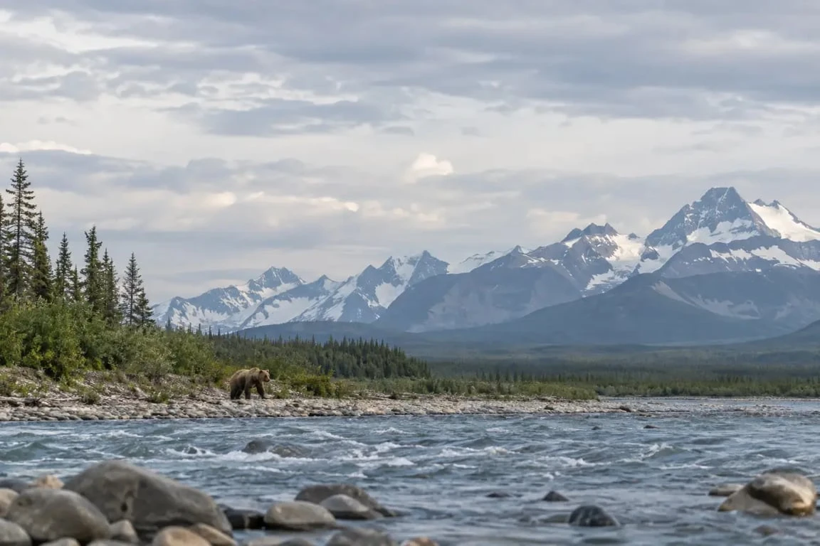 Voyage sur mesure Alaska avec observation responsable des ours